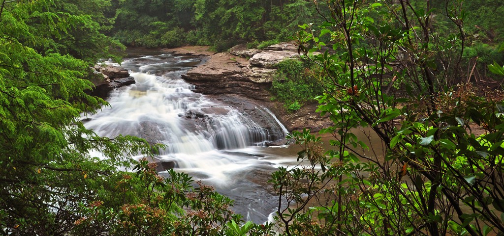 swallow_falls_state_park