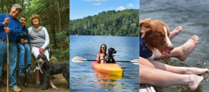 5 Favorite Dog Friendly Deep Creek Lake Activities for Summer